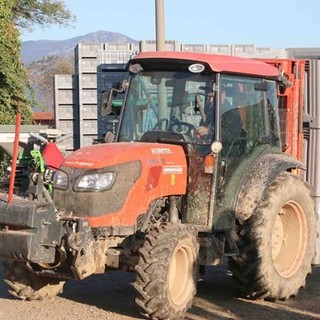 L’assessorato all’agricoltura di Trecate organizza la tradizionale festa di Sant’Antonio Abate