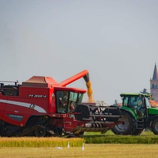 Fiera agricola e artigiana dei santi patroni Clemente e Cassiano a Trecate