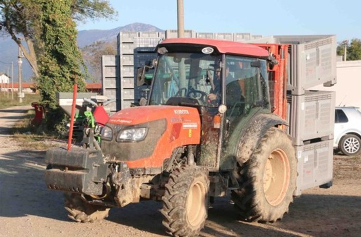 L’assessorato all’agricoltura di Trecate organizza la tradizionale festa di Sant’Antonio Abate