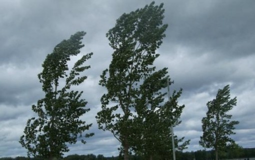 In Piemonte nasce l’Osservatorio Regionale sui cambiamenti climatici