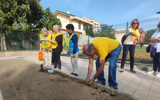 La King Baudouin Foundation sostiene il Parco di via Cefalonia con un contributo di 10.000 euro