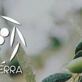 Unaprol, Progetto 'Novaterra', per olio più sostenibile e maggiore redditività per gli agricoltori