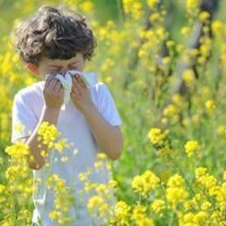 Naso chiuso, starnuti e lacrime: arrivano le allergie di primavera. Come riconoscerle e cosa fare