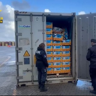 Blitz nel porto di Gioia Tauro, sequestrati oltre 780 chili di cocaina