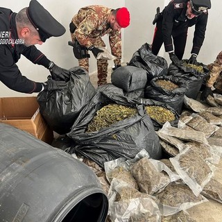 Più di 30 kg di marijuana nascosti in casa nella Locride, un arresto