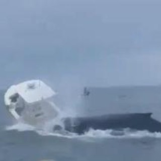 Balena attacca barca di pescatori, due volano in mare - Video